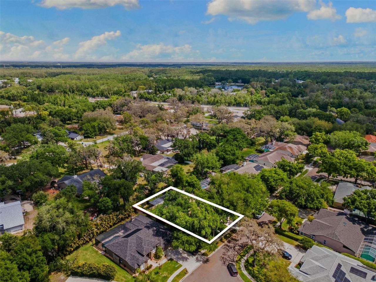 4647 Berwyn Court, Palm Harbor, FL 34685 Photo