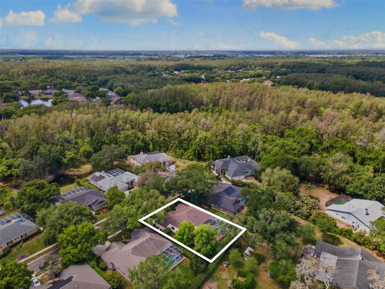 4647 Berwyn Court, Palm Harbor, FL 34685 Photo