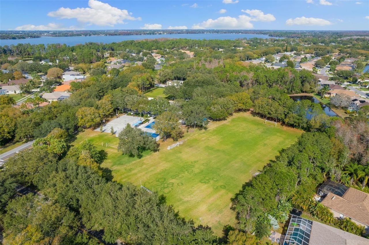 4647 Berwyn Court , Palm Harbor, FL 34685 Photo