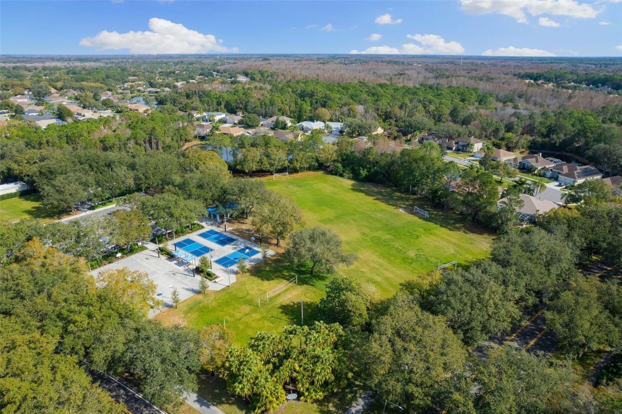 4647 Berwyn Court, Palm Harbor, FL 34685 Photo