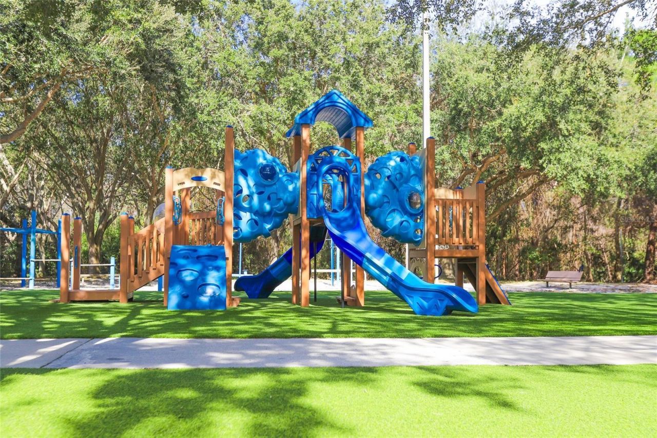 4647 Berwyn Court , Palm Harbor, FL 34685 Photo