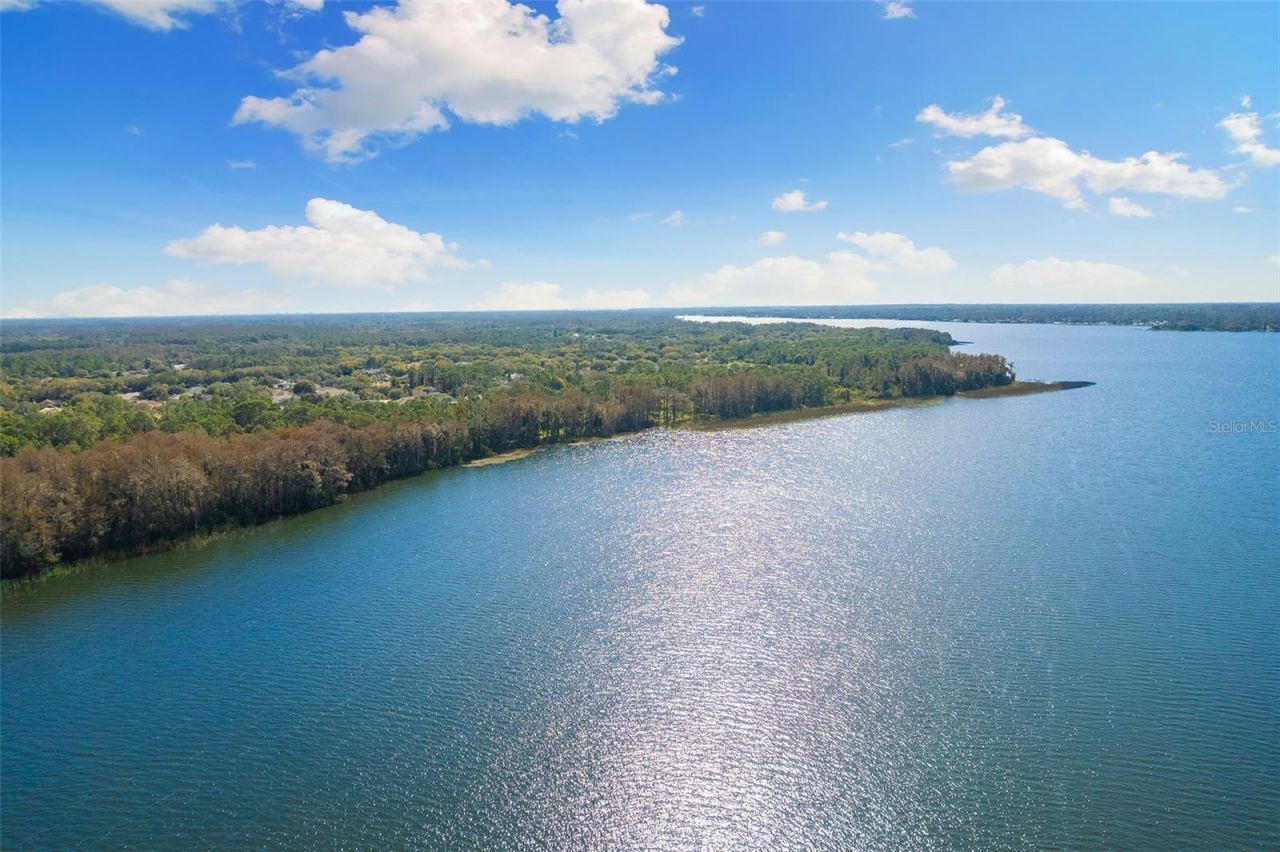 4647 Berwyn Court, Palm Harbor, FL 34685 Photo