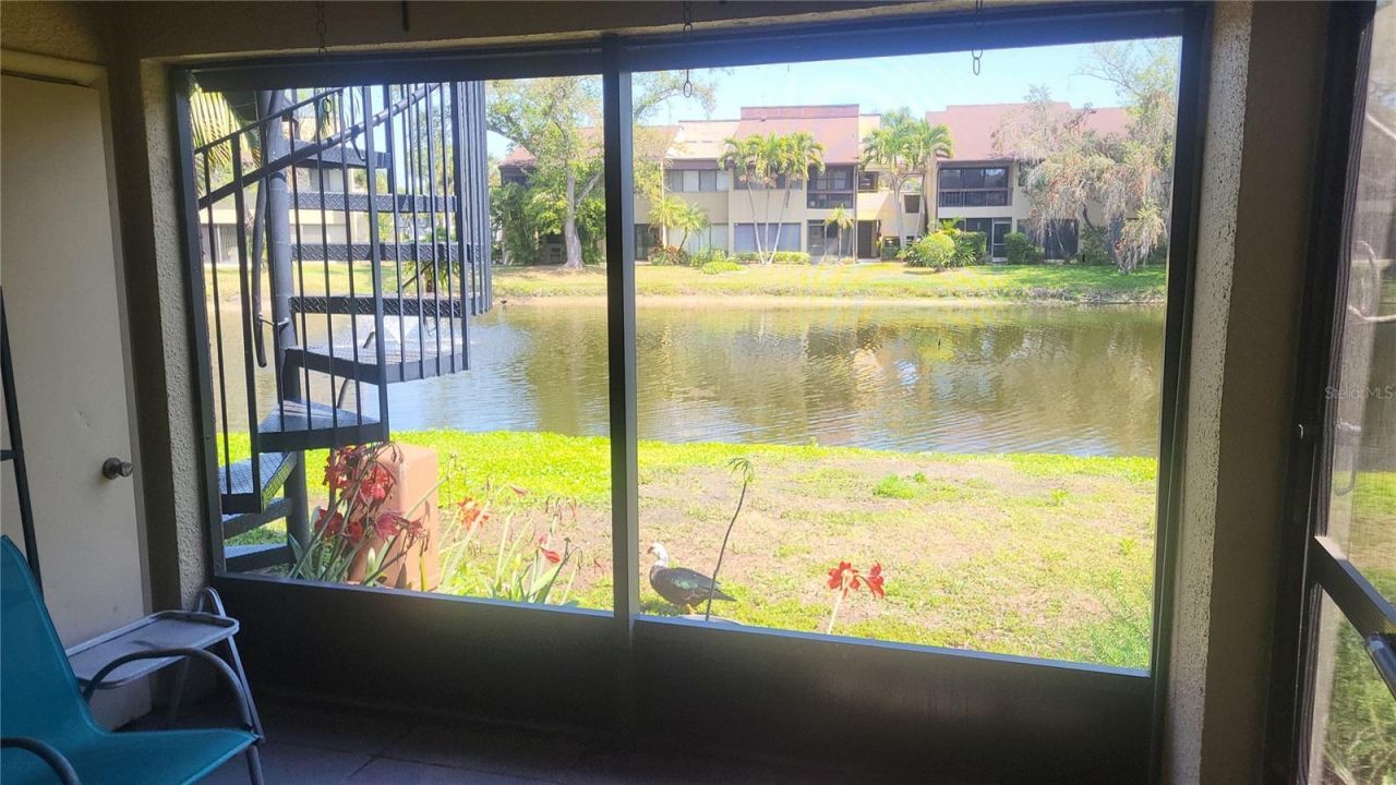 875 S Village Drive N, Unit 102, Saint Petersburg, FL 33716 Photo