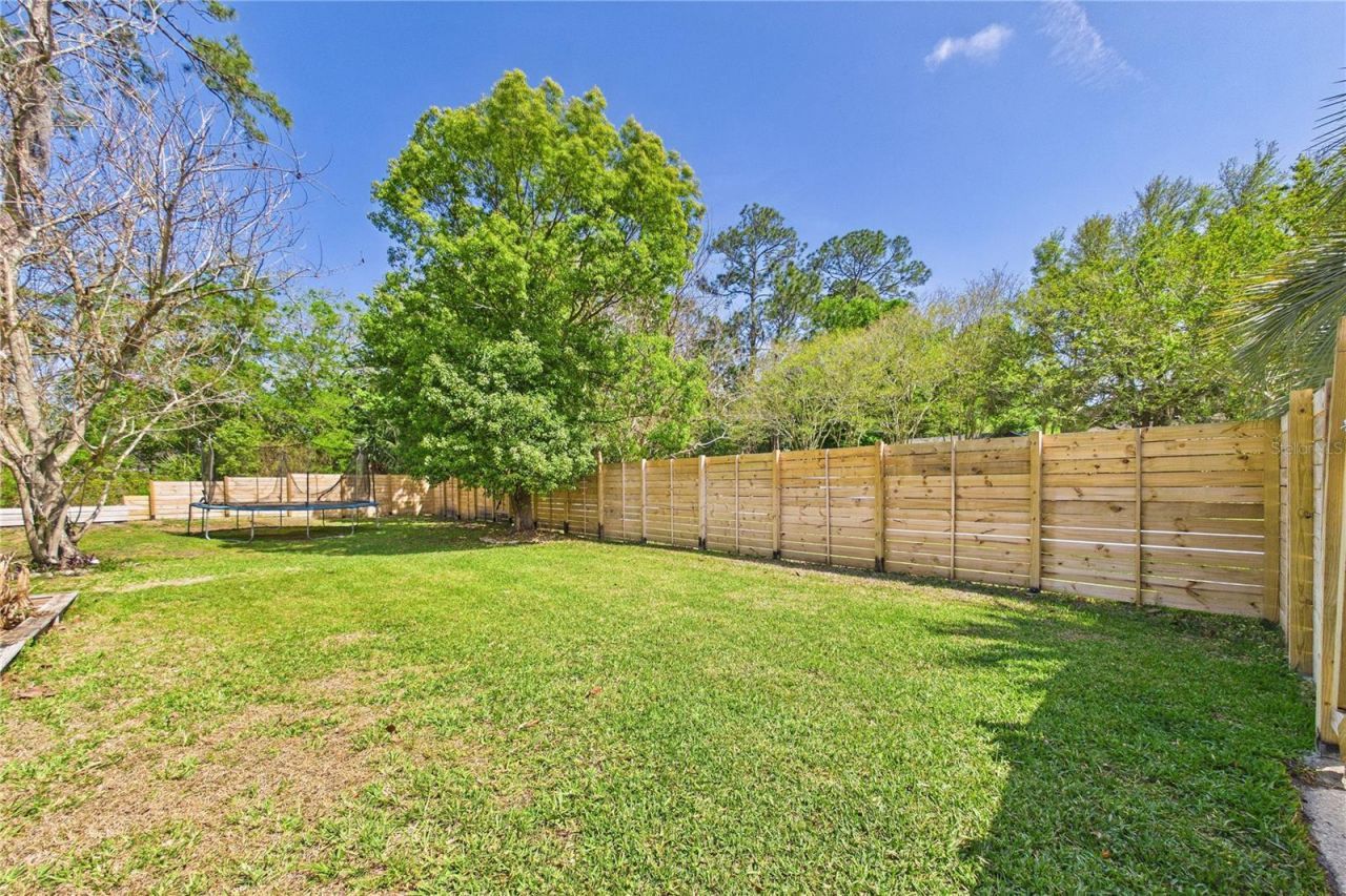 2487 Winged Elm Drive E, Jacksonville, FL 32246 Photo