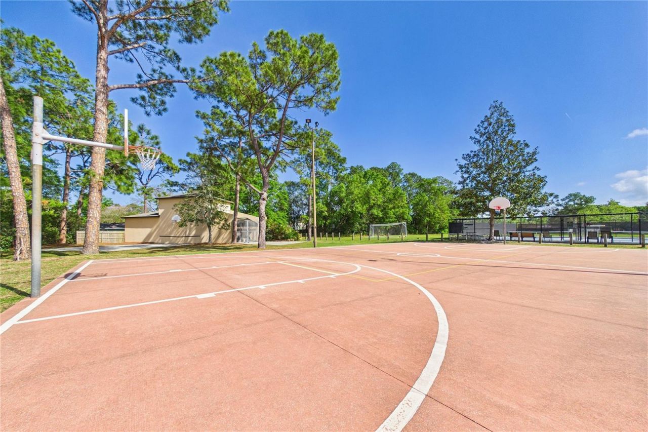 2487 Winged Elm Drive E, Jacksonville, FL 32246 Photo