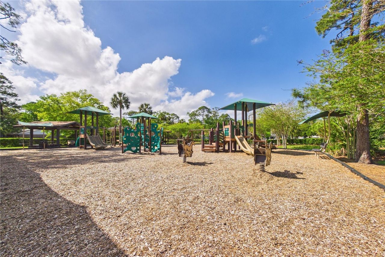 2487 Winged Elm Drive E, Jacksonville, FL 32246 Photo