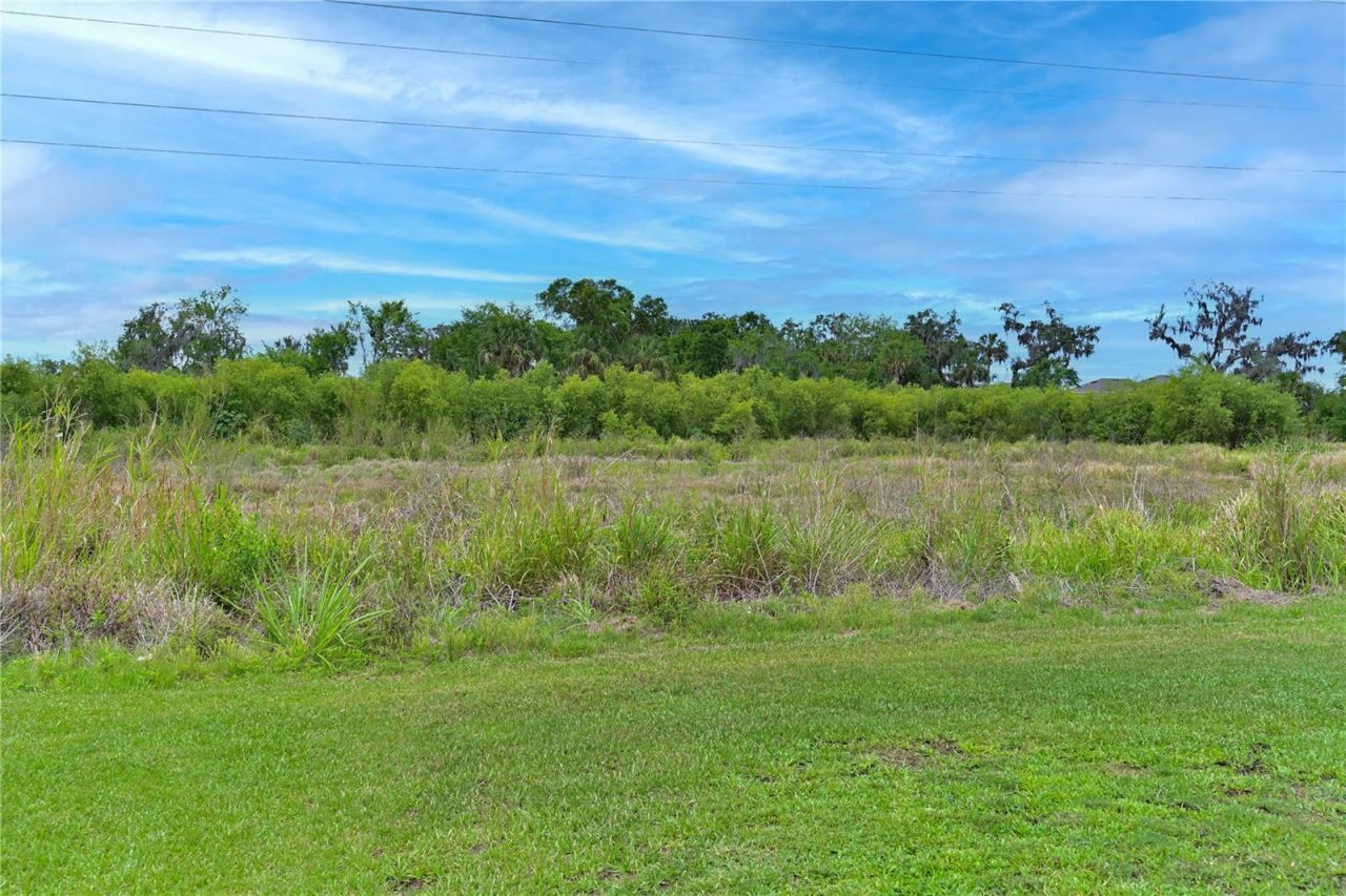 4919 Wedgeleaf Way, Palmetto, FL 34221 Photo