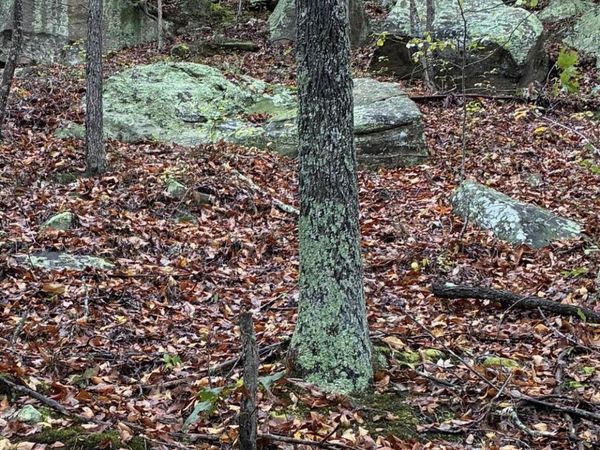 165 Joe Branch , Grayson, KY 41143