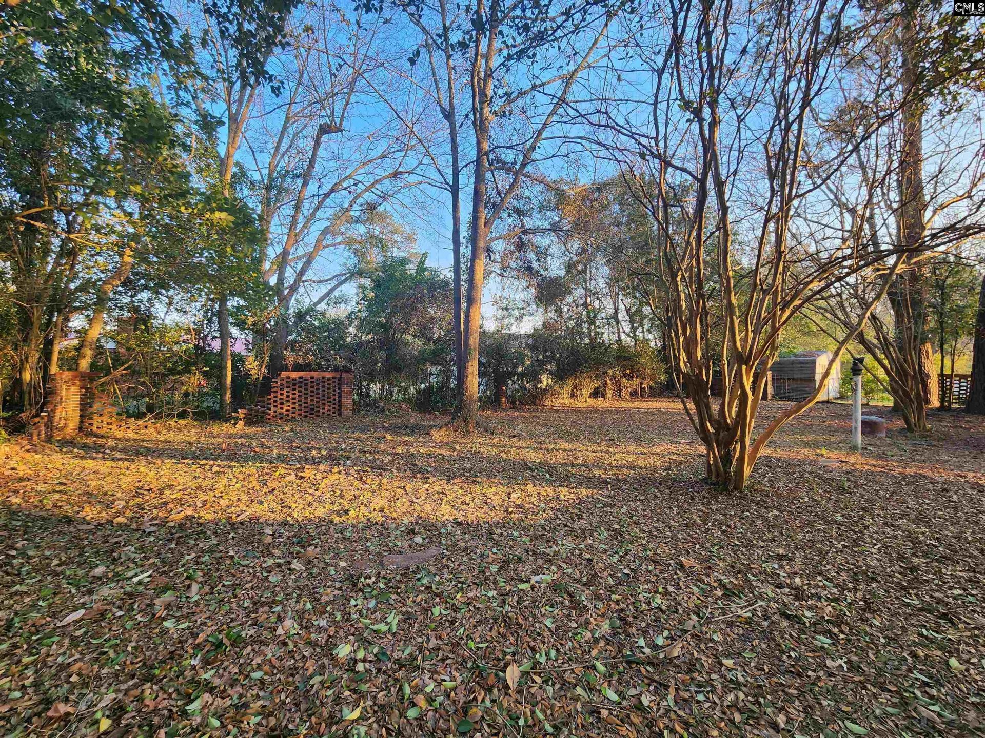 320 Williamsburg Street Ne Photo 16