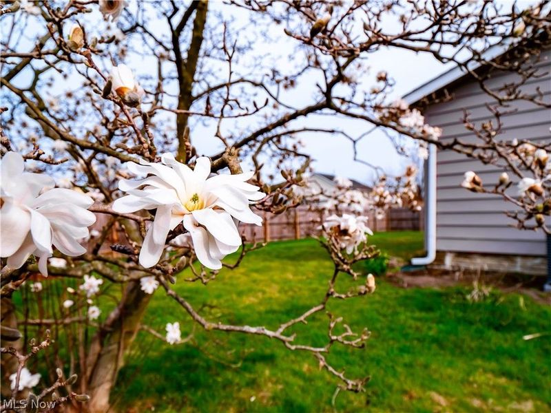 4710 Jaycox Road, Avon, OH 44011 Photo 33