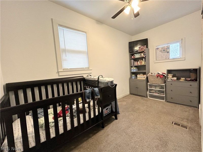 254 S Eagle Street, Geneva, OH 44041 Photo 11