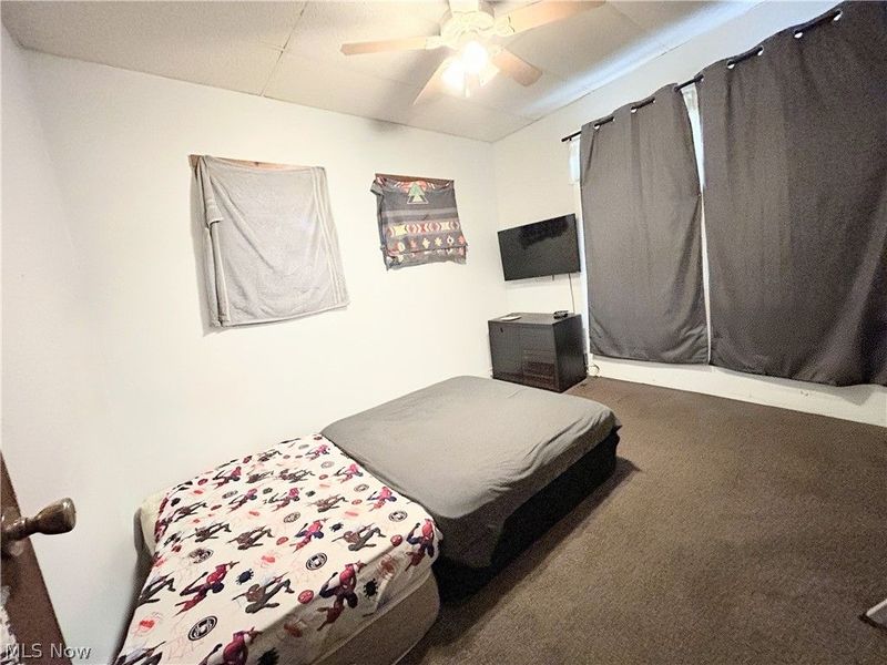 254 S Eagle Street, Geneva, OH 44041 Photo 18