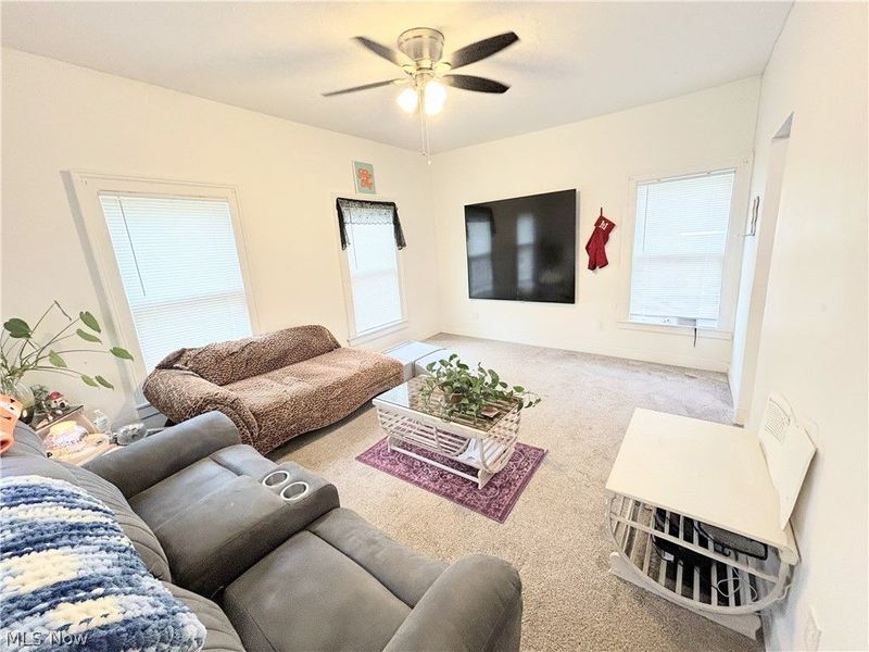 254 S Eagle Street, Geneva, OH 44041 Photo 6