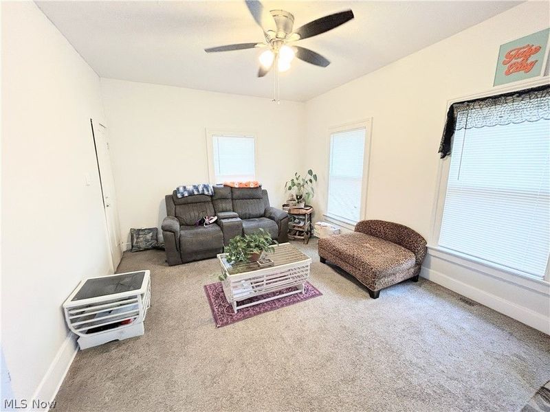 254 S Eagle Street, Geneva, OH 44041 Photo 7