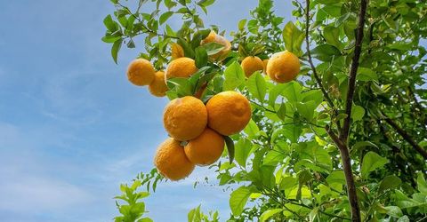 6311 Bluebill Ct, Rocklin, CA 95765 Photo