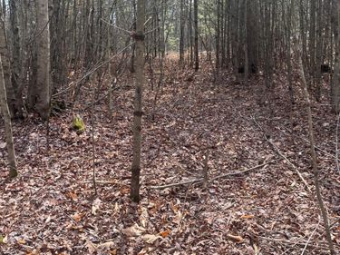 0 Blue Ridge Lane, Monroe, VA 24574