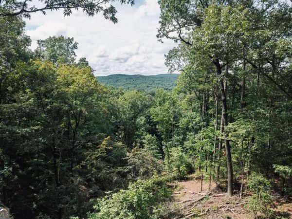 LOT 314 Pebble Trace, Unit 314, Talking Rock, GA 30175