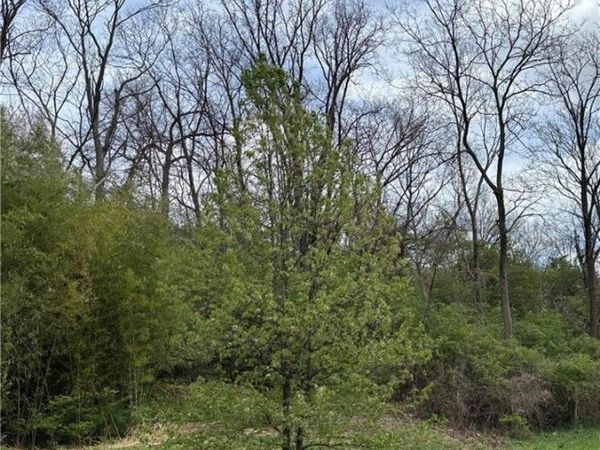 332 Collins Avenue, Cincinnati, OH 45202