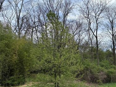 332 Collins Avenue, Cincinnati, OH 45202