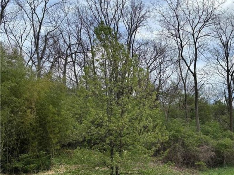 332 Collins Avenue, Cincinnati, OH 45202 Photo 1