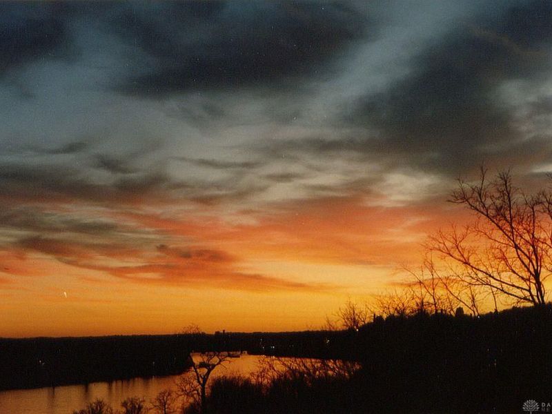 332 Collins Avenue, Cincinnati, OH 45202 Photo 4