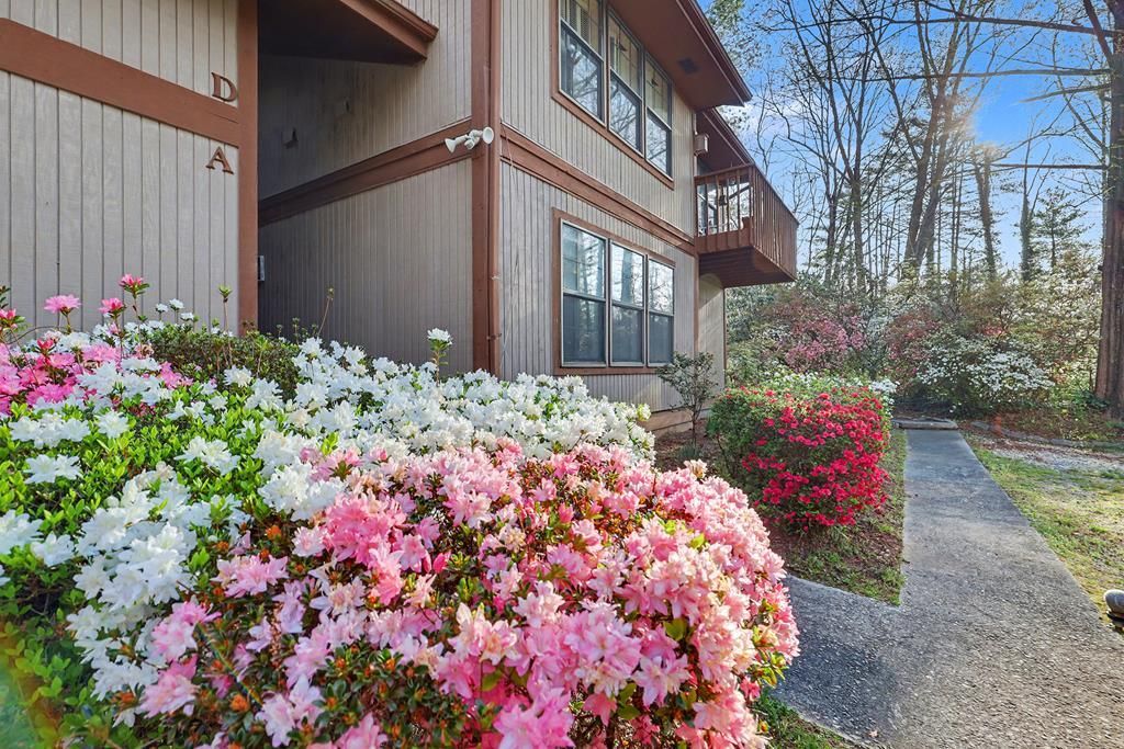 62 Stornoway Dr, Unit 2, Clayton, GA 30525 Main Photo