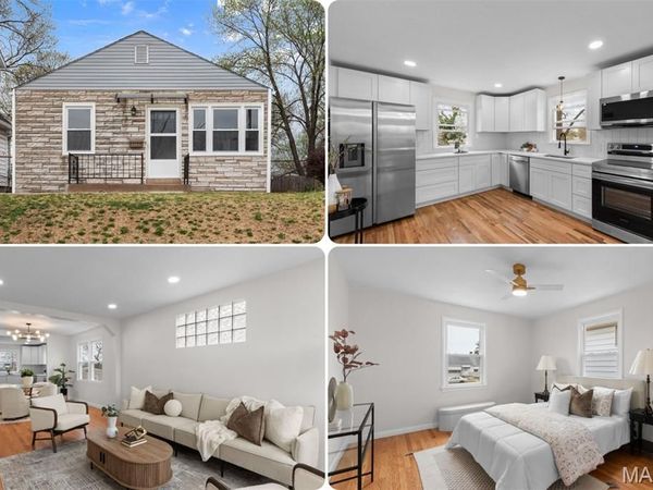 3355 Sublette Avenue , St Louis, MO 63139