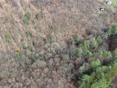 0 Haines Hollow Road, Great Valley, NY 14741