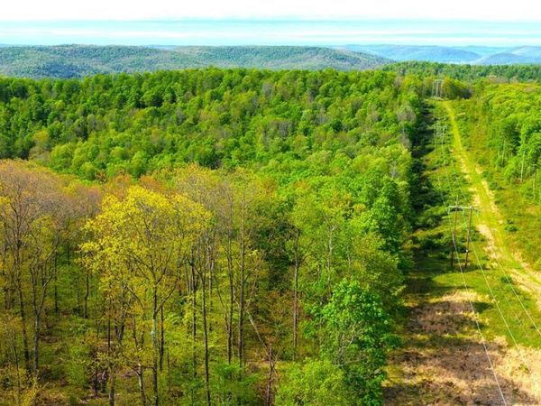 0 Haines Hollow Road, Great Valley, NY 14741