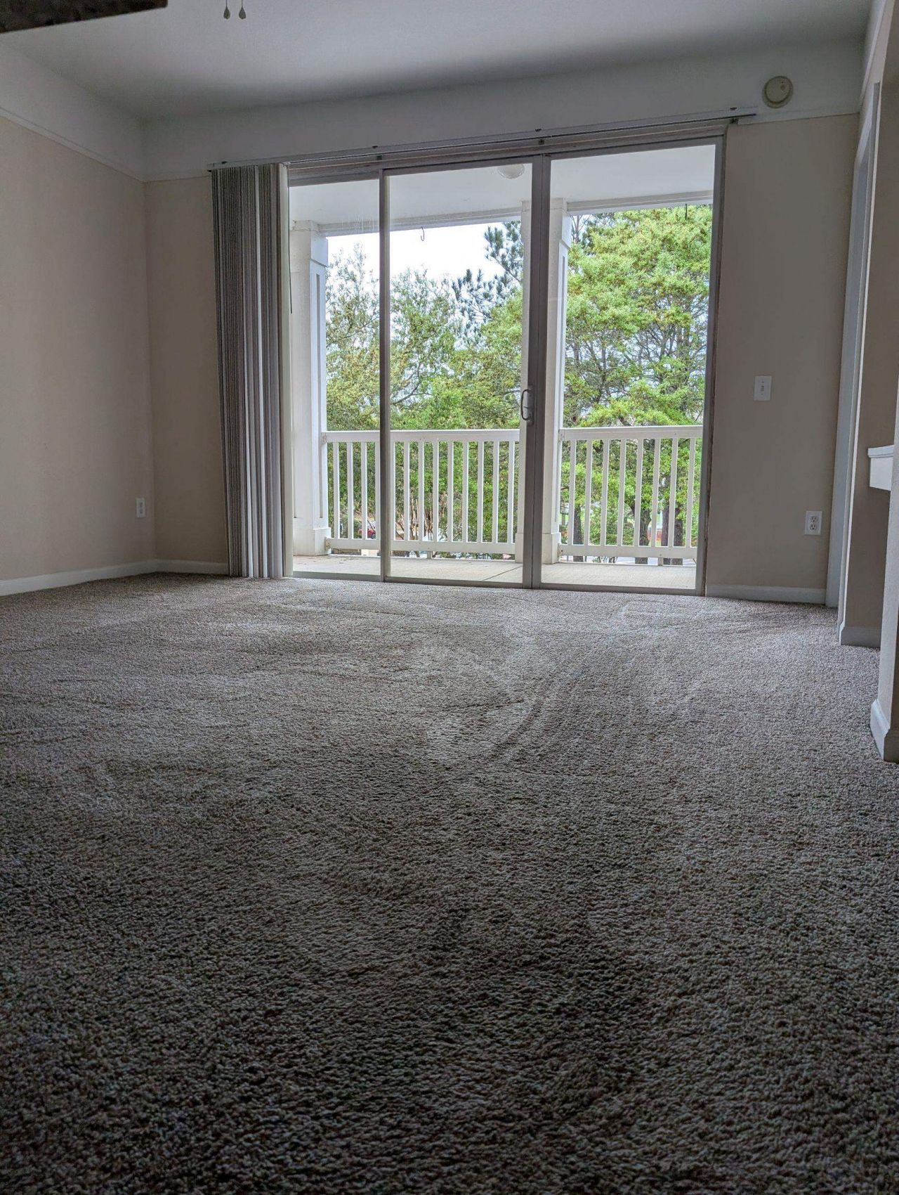 2801 Chancellorsville Drive, Unit 126, Tallahassee, FL 32312 Photo
