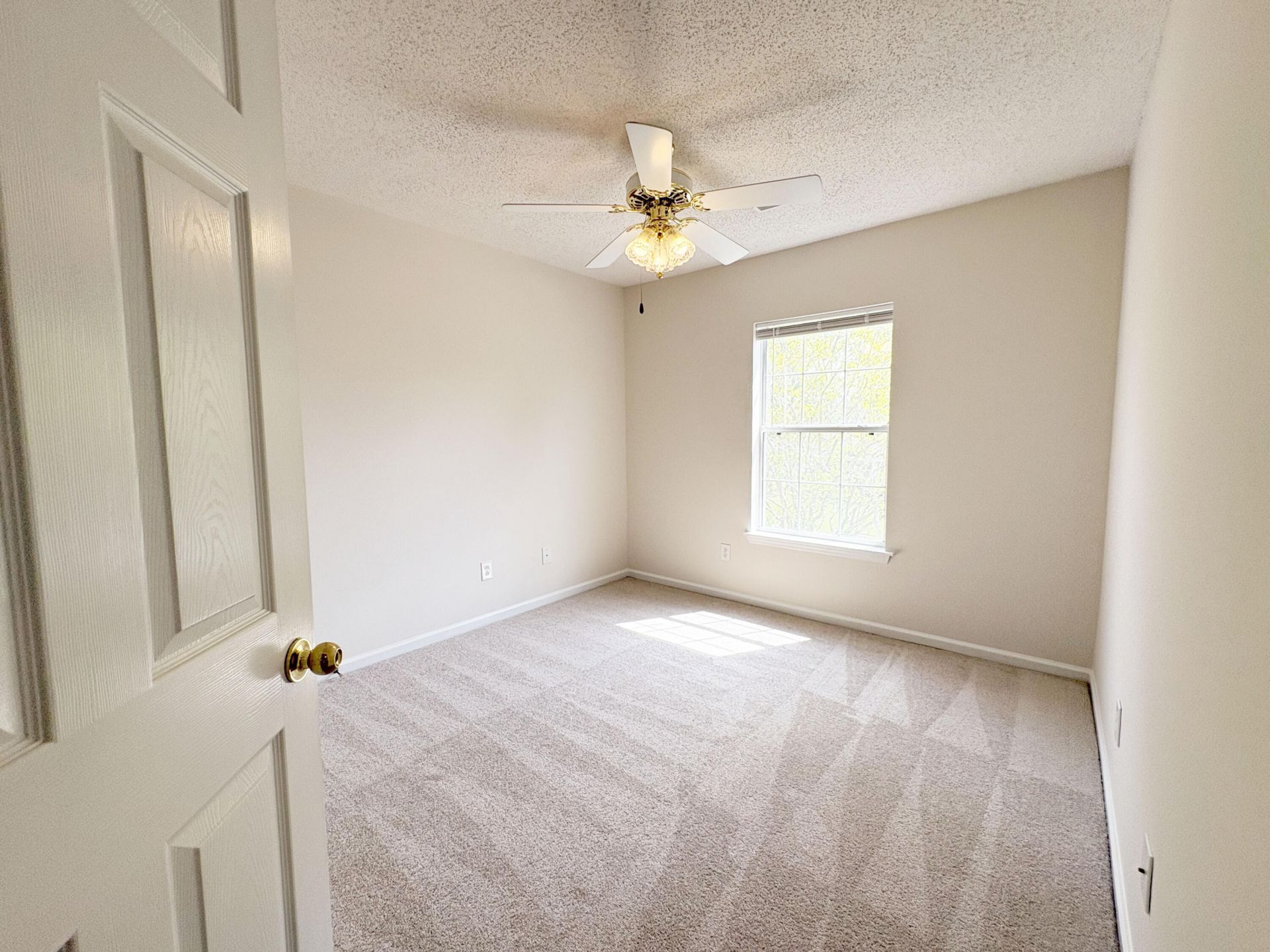 2446 Albacore Avenue Photo 28