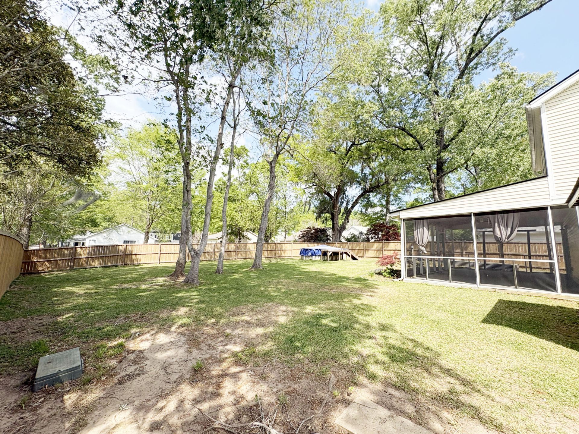 2446 Albacore Avenue Photo 37