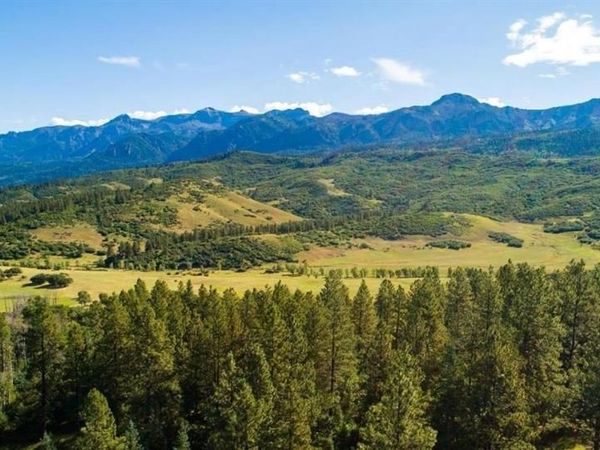 TBD County Road 382, Pagosa Springs, CO 81128
