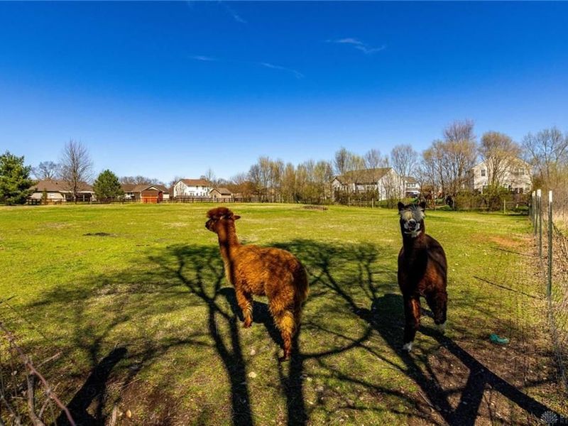 7426 Martz Paulin Road, Franklin Township, OH 45005 Photo 40