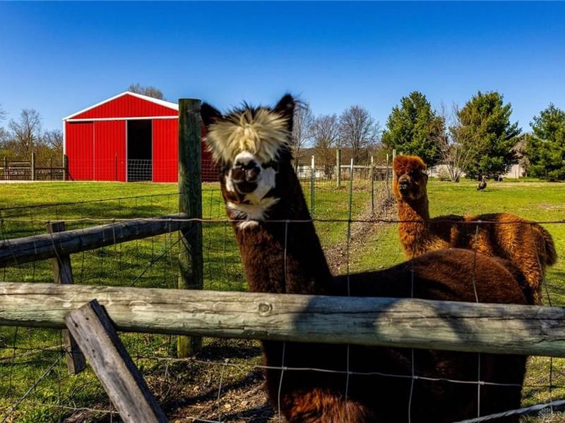 7426 Martz Paulin Road, Franklin Township, OH 45005 Photo 8