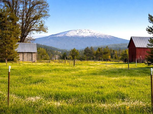 46XX Bittrich-Antler Rd, Deer Park, WA 99006