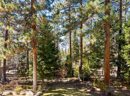 15 Kelly Circle, Glenbrook, NV 89413 Photo