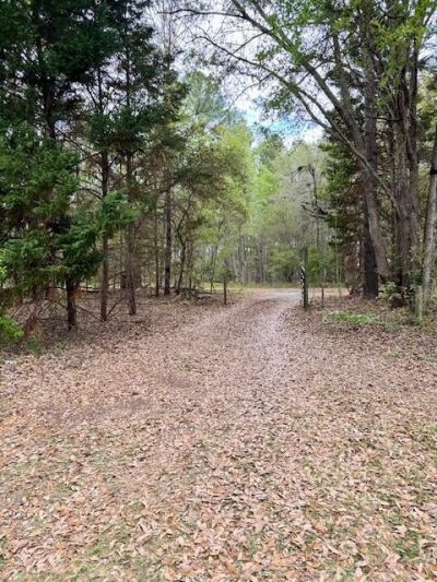 263 Keegan Court Photo 19