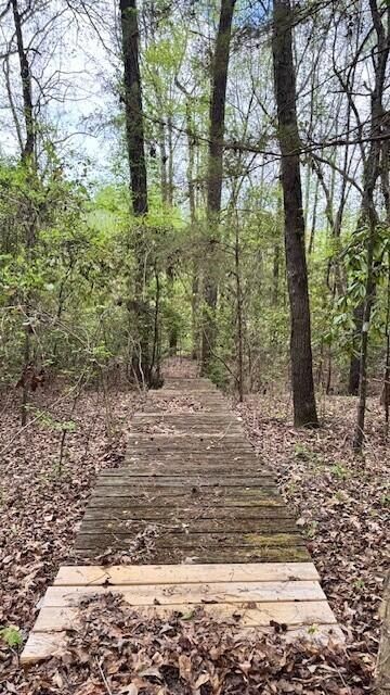 263 Keegan Court Photo 20