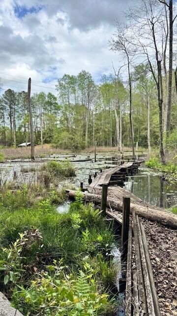 263 Keegan Court Photo 21