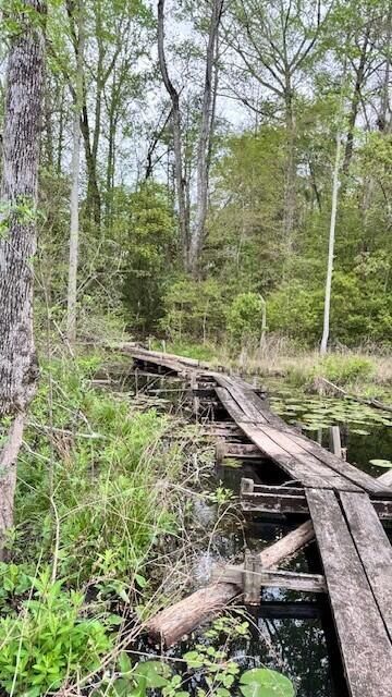 263 Keegan Court Photo 22