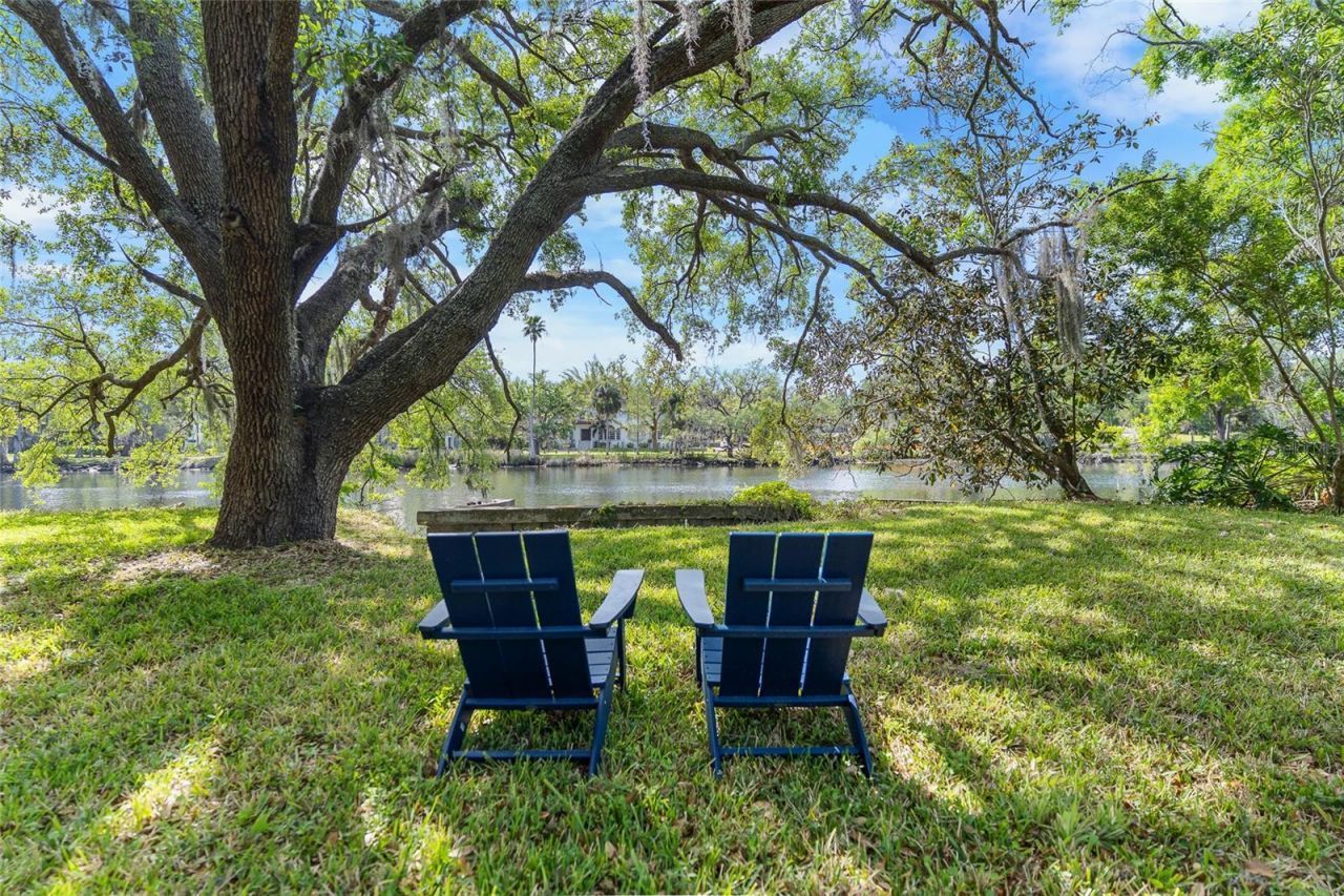 6605 N Boulevard, Tampa, FL 33604 Photo