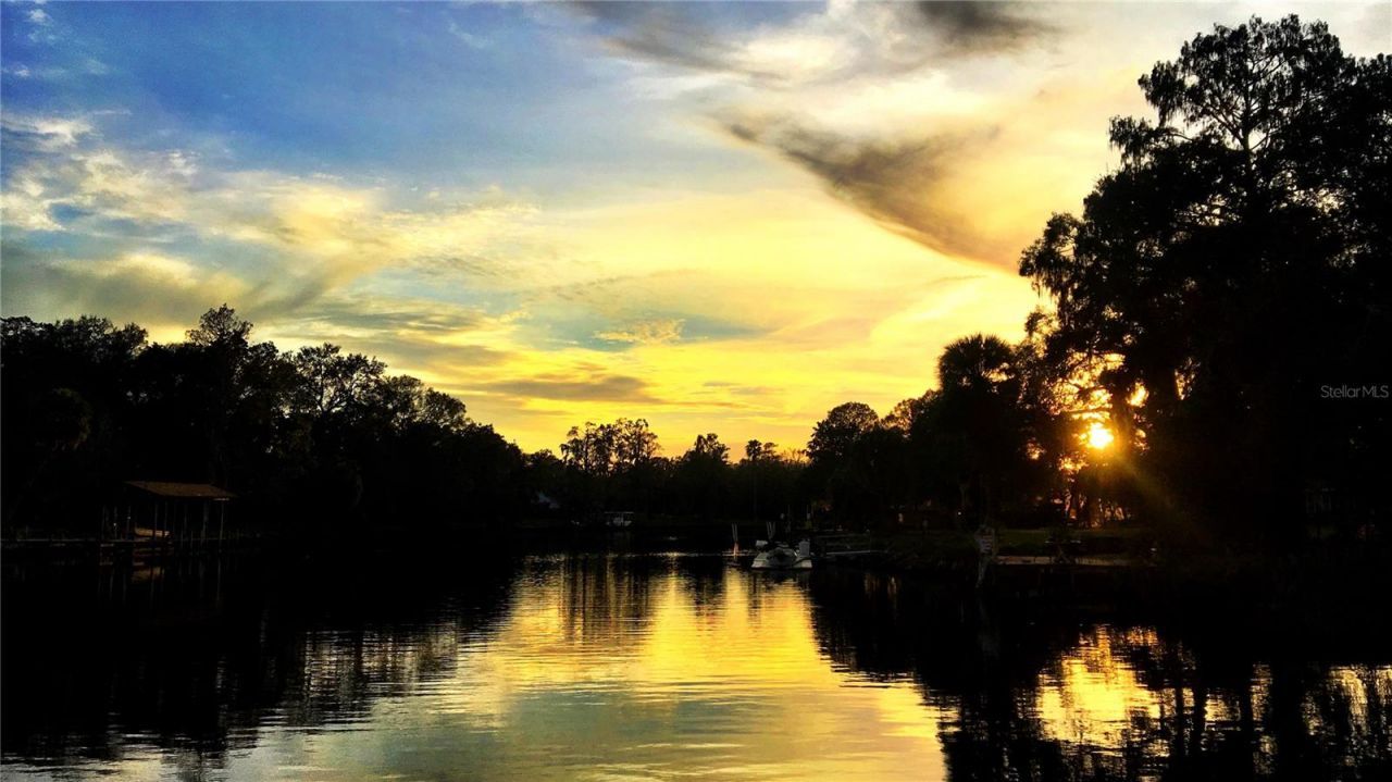 6605 N Boulevard, Tampa, FL 33604 Photo