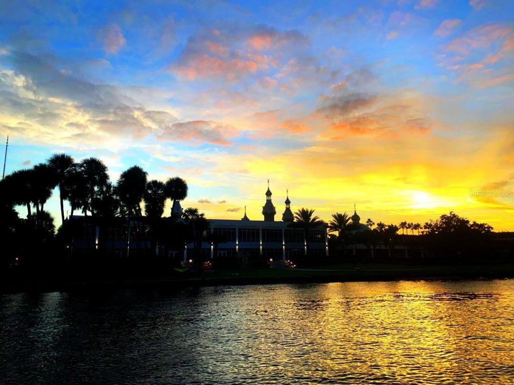 6605 N Boulevard, Tampa, FL 33604 Photo