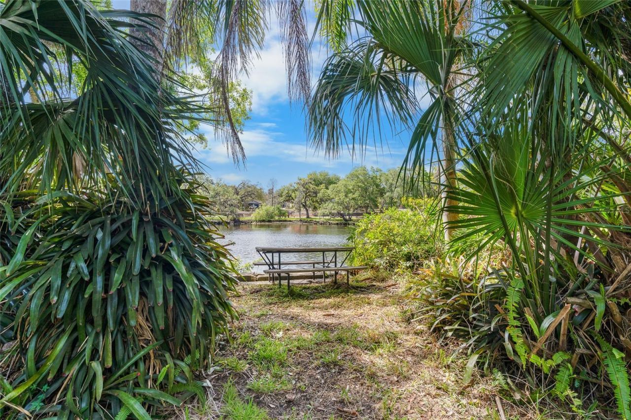 6605 N Boulevard, Tampa, FL 33604 Photo