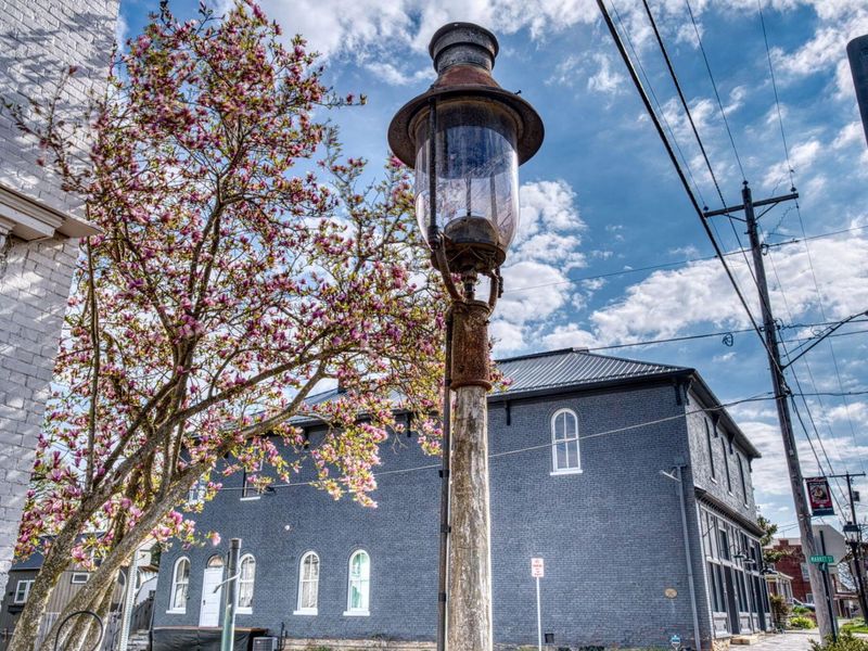 8450 Main Street, Rushville, OH 43150 Photo 10