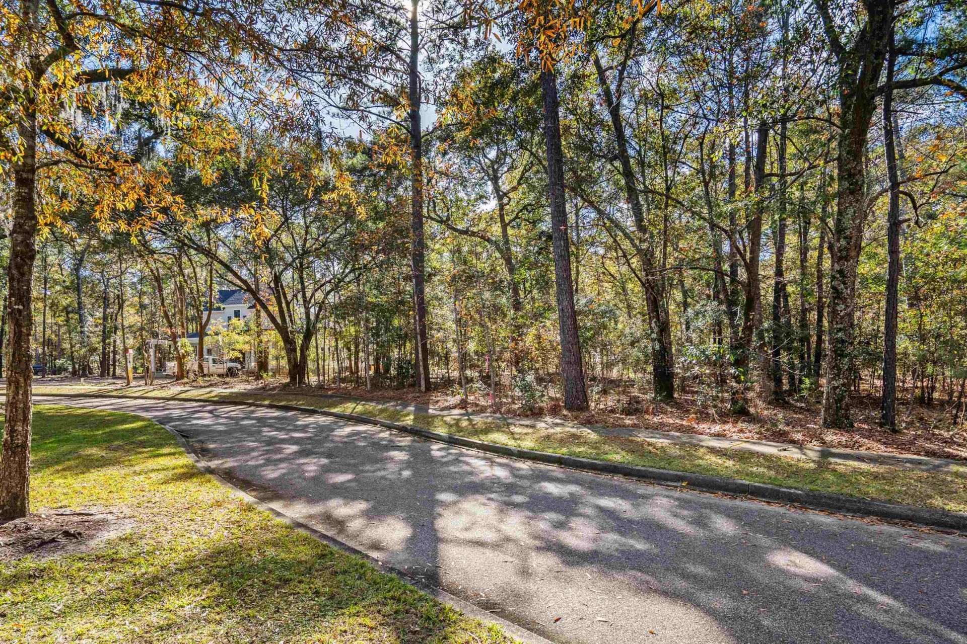 92 Duany Dr. Photo 26