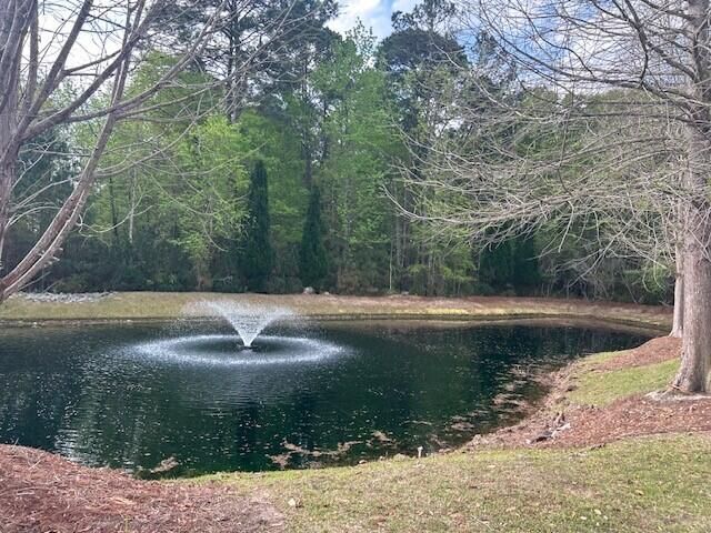 2040 Promenade Court Photo 39