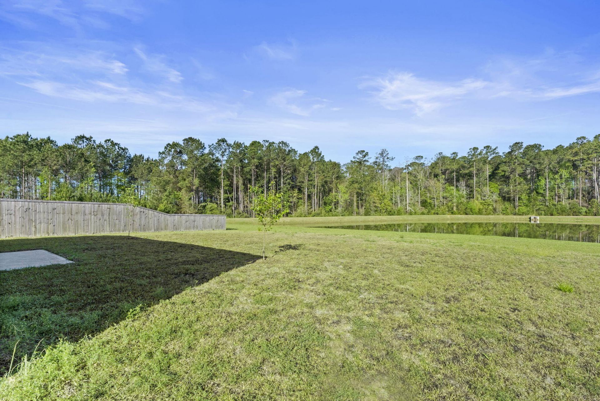 162 Oakwood Boulevard Photo 32