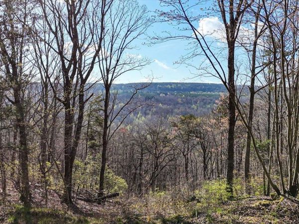 Lot 1350 Split Rail Way, Guild, TN 37340